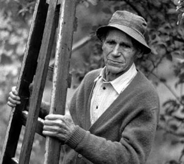 Image result for olav h hauge