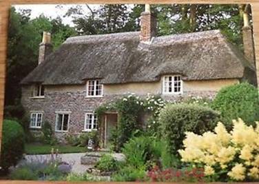 Image result for higher bockhampton hardy images